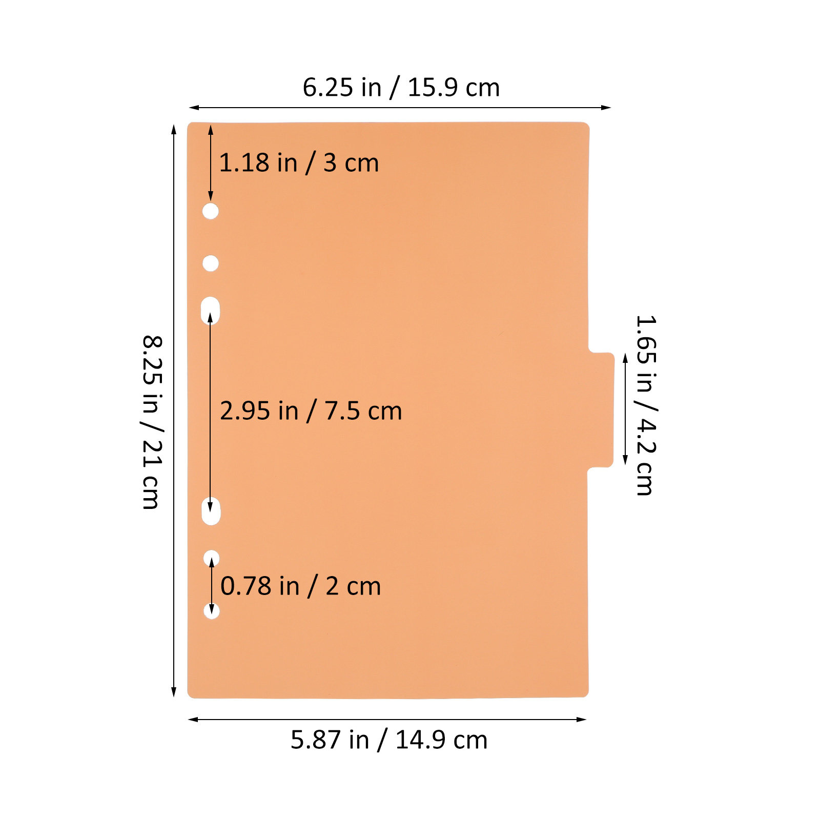 10Pcs Colorful Plastic Binder  - Index Tab Divider review and price