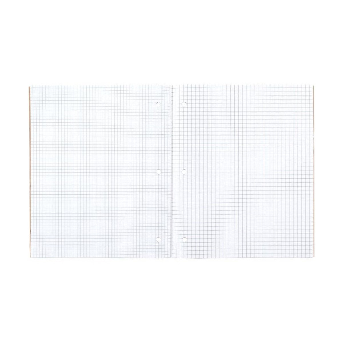 Perforated Graphing Grid Paper - Paper Punch 3 Hole review and price